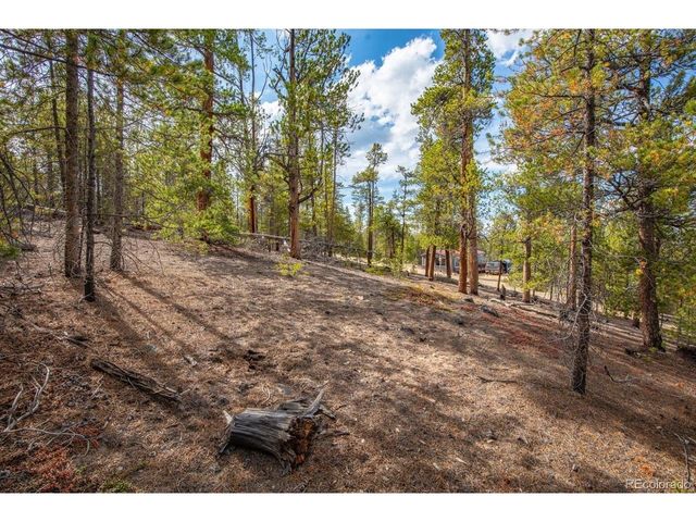198 Lodgepole Dr, Twin Lakes, CO 81251