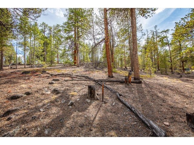 198 Lodgepole Dr, Twin Lakes, CO 81251