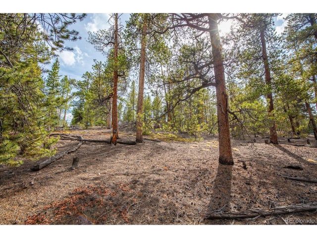 198 Lodgepole Dr, Twin Lakes, CO 81251