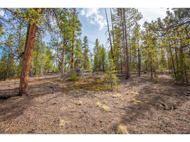 198 Lodgepole Dr, Twin Lakes, CO 81251