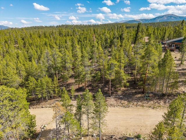 198 Lodgepole Dr, Twin Lakes, CO 81251