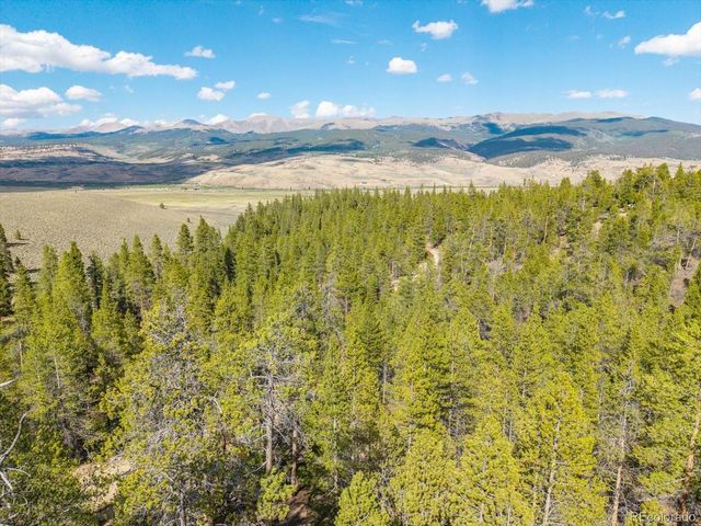 198 Lodgepole Dr, Twin Lakes, CO 81251