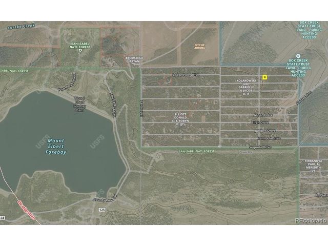 198 Lodgepole Dr, Twin Lakes, CO 81251