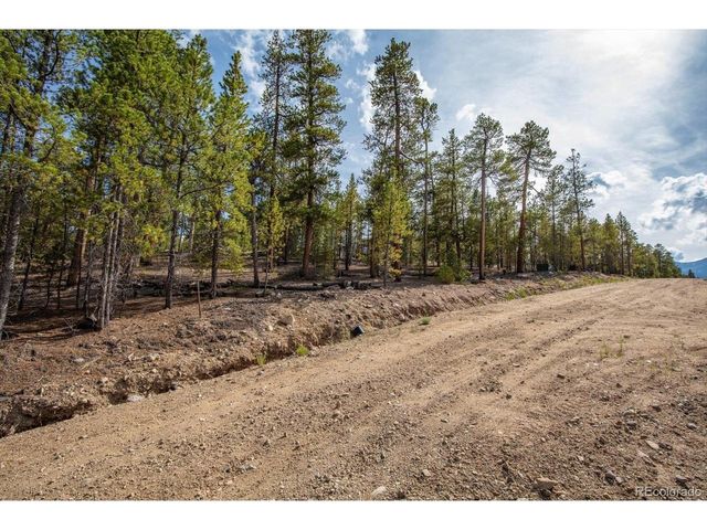 198 Lodgepole Dr, Twin Lakes, CO 81251