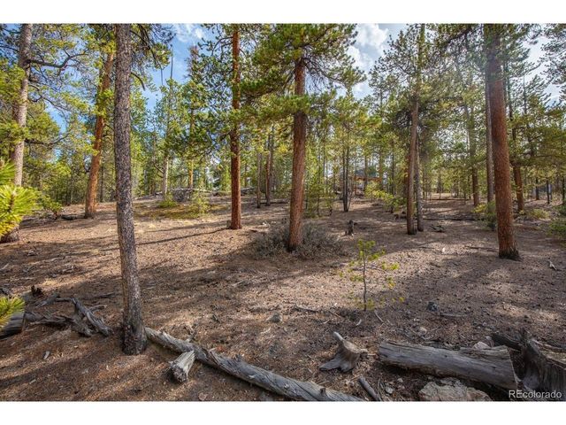 198 Lodgepole Dr, Twin Lakes, CO 81251