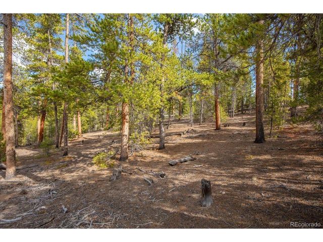 198 Lodgepole Dr, Twin Lakes, CO 81251