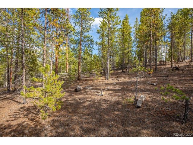 198 Lodgepole Dr, Twin Lakes, CO 81251