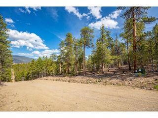 198 Lodgepole Dr, Twin Lakes, CO 81251