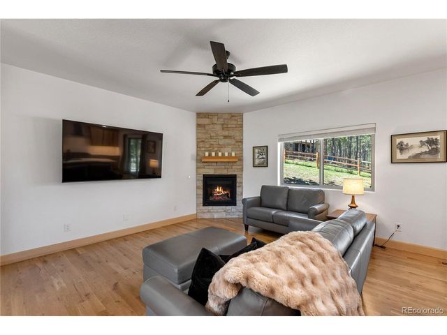 1382 Ridgestone Dr, Woodland Park, CO 80863