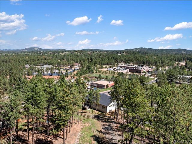 1382 Ridgestone Dr, Woodland Park, CO 80863