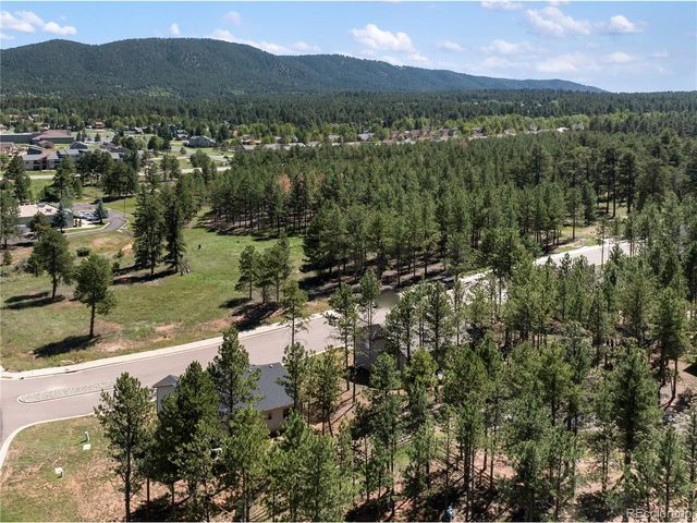 1382 Ridgestone Dr, Woodland Park, CO 80863