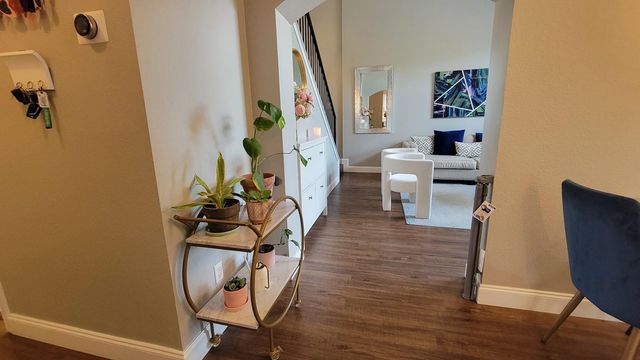 15029 Valerian Tea DR, Pflugerville, TX 78660