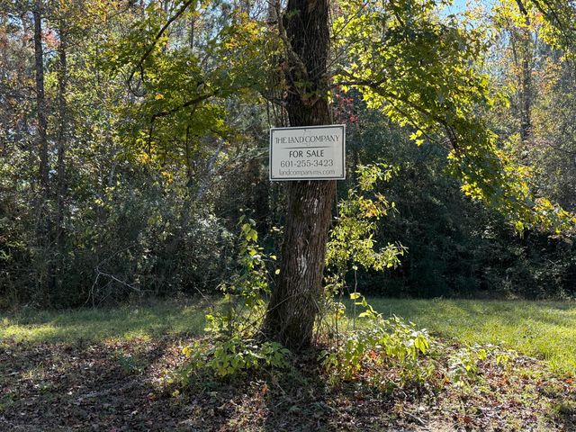 145 Pouncey, Sumrall, MS 39482