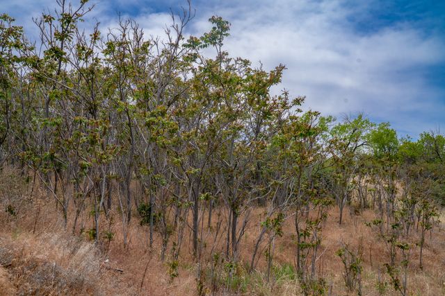 7 Rancho De Ortiz, Santa Fe, NM 87506