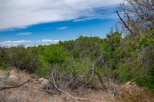 7 Rancho De Ortiz, Santa Fe, NM 87506