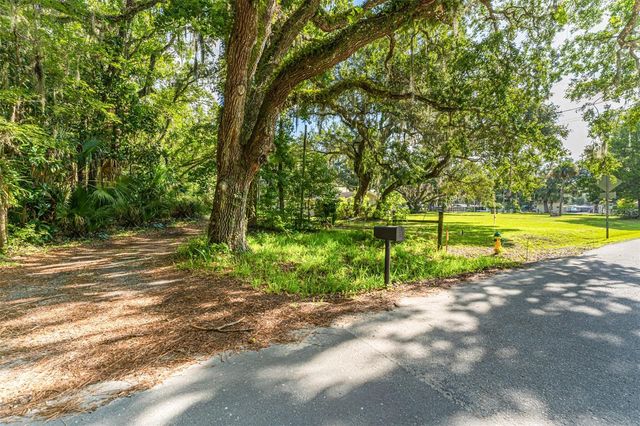 8585 W MISS MAGGIE DRIVE, Homosassa, FL 34448