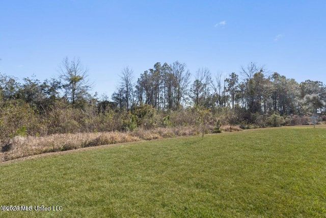 18116 Crane Rdg Cove, Gulfport, MS 39503