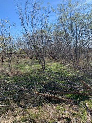 180 cr 436, Dublin, TX 76446