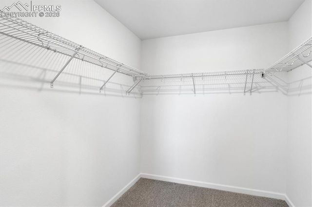 875 Lux Point, Colorado Springs, CO 80915