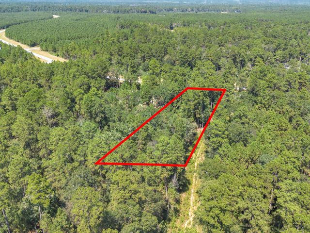 15621 Wood Grove Way, Willis, TX 77378