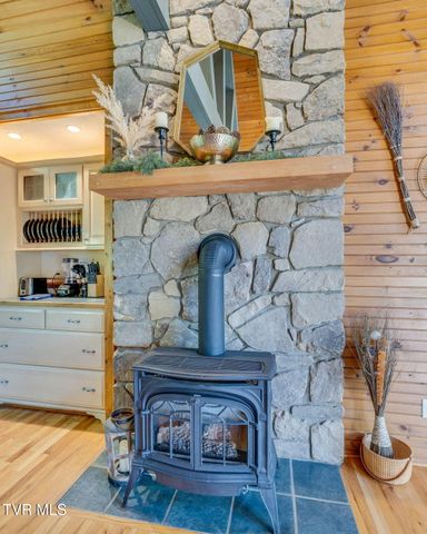 117 Wildwood Point, Unicoi, TN 37692