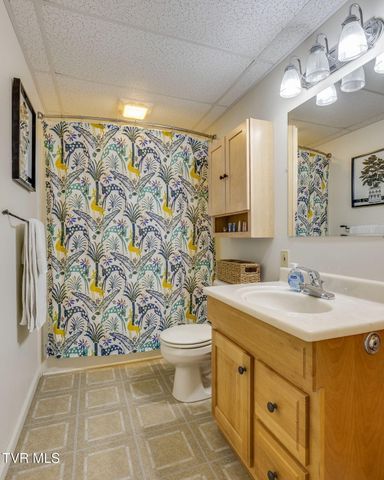 117 Wildwood Point, Unicoi, TN 37692
