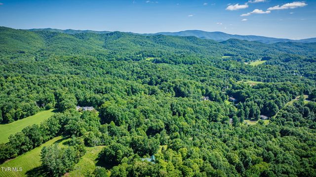 117 Wildwood Point, Unicoi, TN 37692