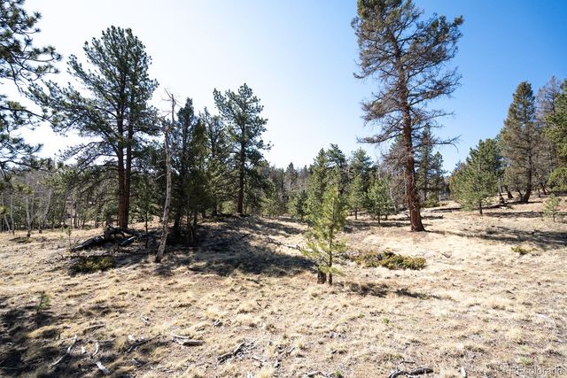 1657 Windmill Drive, Hartsel, CO 80449