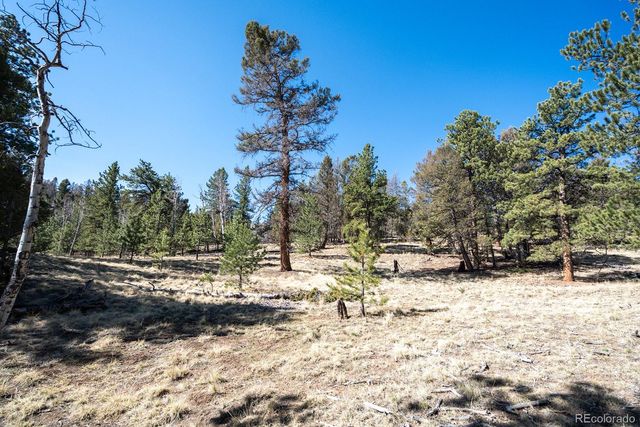 1657 Windmill Drive, Hartsel, CO 80449