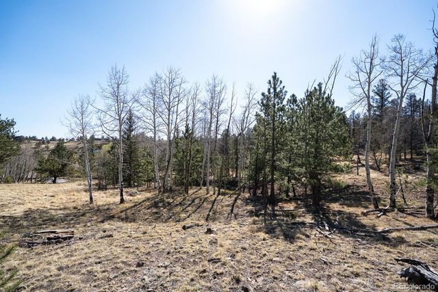1657 Windmill Drive, Hartsel, CO 80449