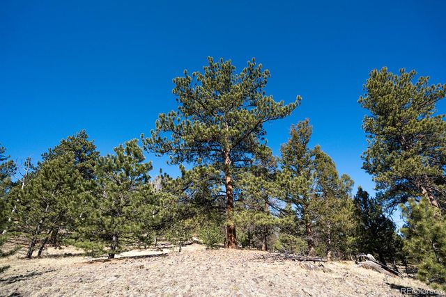1657 Windmill Drive, Hartsel, CO 80449