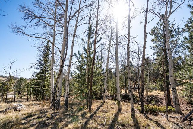 1657 Windmill Drive, Hartsel, CO 80449
