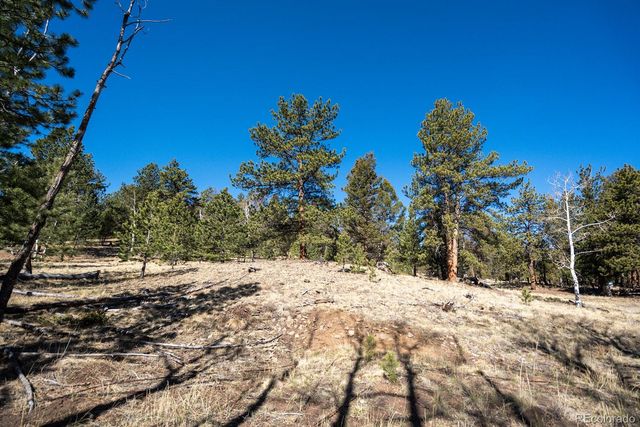 1657 Windmill Drive, Hartsel, CO 80449
