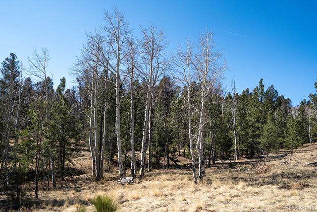 1657 Windmill Drive, Hartsel, CO 80449