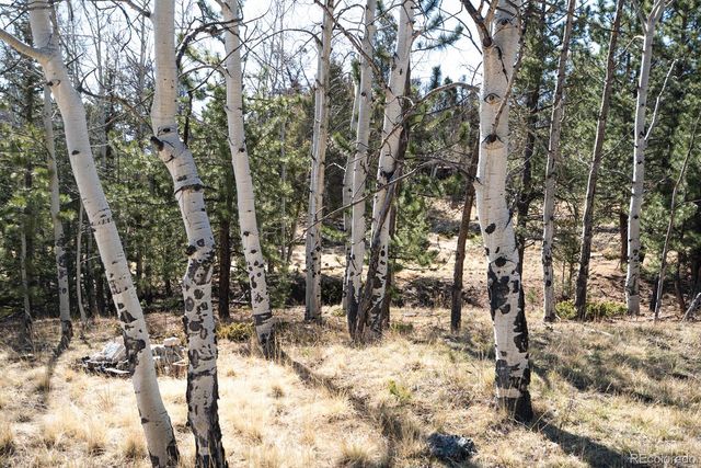 1657 Windmill Drive, Hartsel, CO 80449