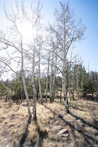1657 Windmill Drive, Hartsel, CO 80449