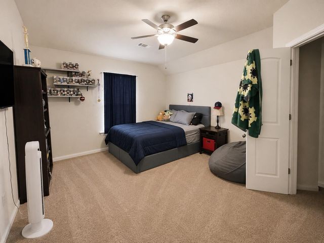 29611 Yaupon Shore Drive, Spring, TX 77386