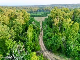 Dentville Road, Hazlehurst, MS 39083