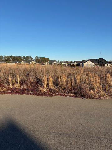 1235 Franfisher Drive, Sumter, SC 29154