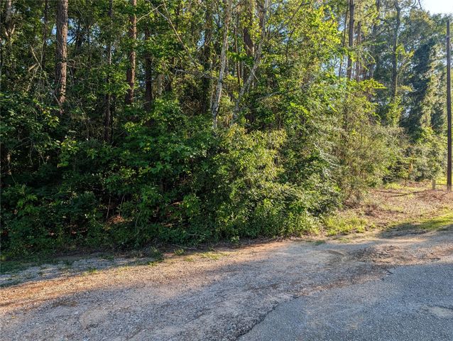 TBD Moss Circle, Montgomery, TX 77328