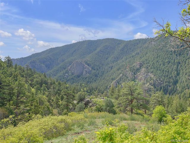 5162 Raven Gulch Road, Morrison, CO 80465