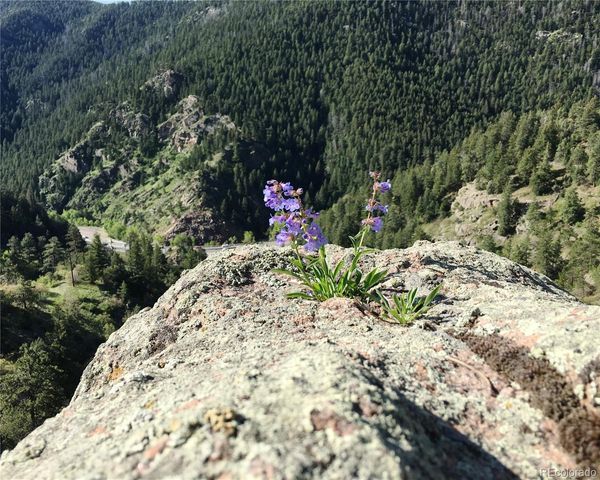 5162 Raven Gulch Road, Morrison, CO 80465