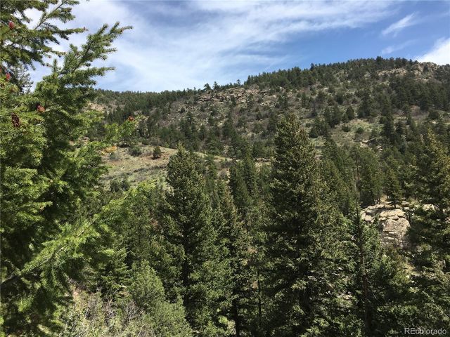 5162 Raven Gulch Road, Morrison, CO 80465