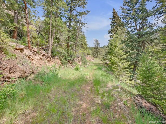 5162 Raven Gulch Road, Morrison, CO 80465