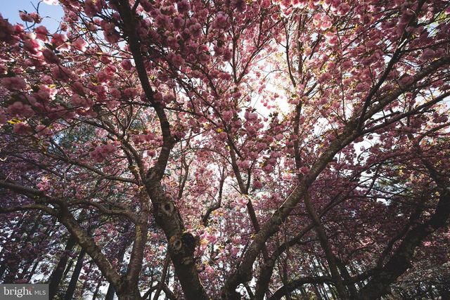 427 VALLEYWOOD DR, Salisbury, MD 21804