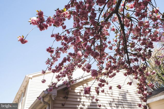 427 VALLEYWOOD DR, Salisbury, MD 21804