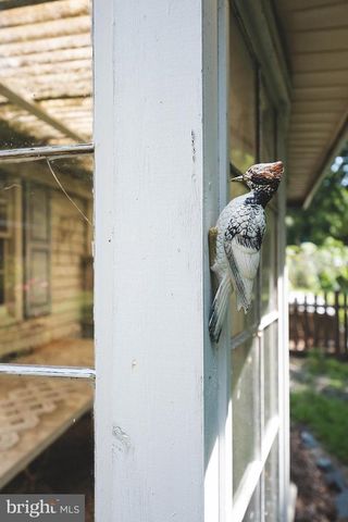 427 VALLEYWOOD DR, Salisbury, MD 21804