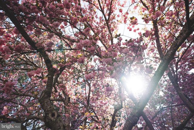 427 VALLEYWOOD DR, Salisbury, MD 21804