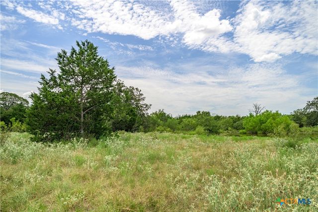 TBD Roy Road, Flatonia, TX 78941