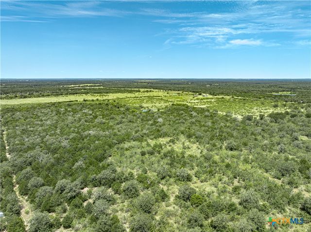 TBD Roy Road, Flatonia, TX 78941